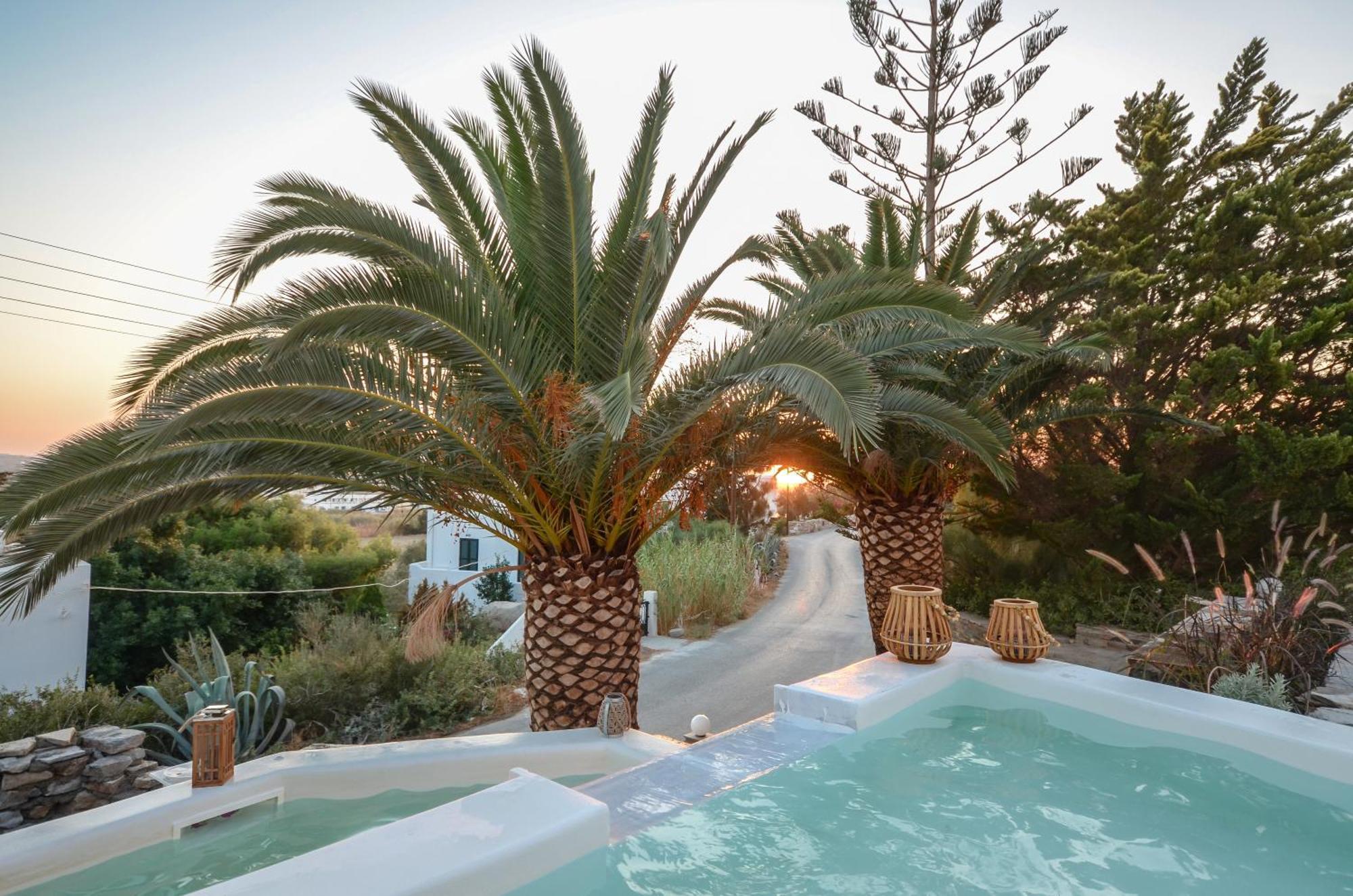 Flora'S Villa With Plunge Pool Agkidia Экстерьер фото